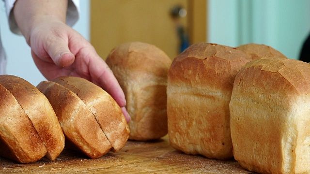 Фото: телеканал «Краснодар»