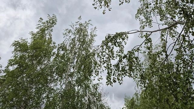 Фото: телеканал «Краснодар»