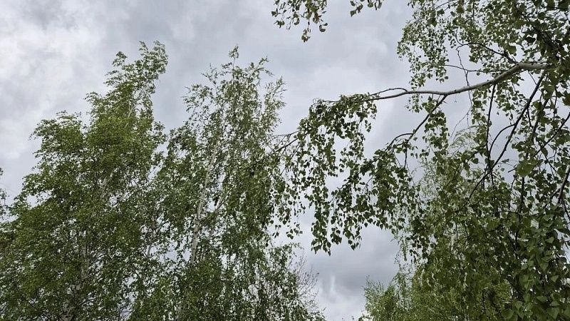 Штормовое предупреждение объявлено из-за снега с дождём и градом на Кубани