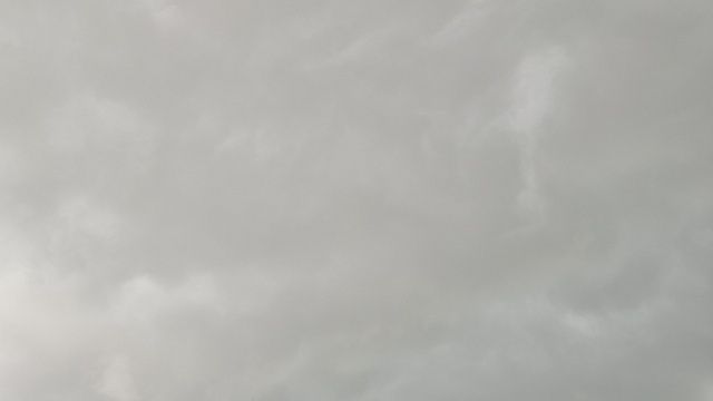 Фото: телеканал «Краснодар»