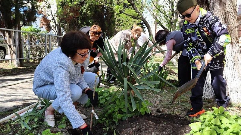 «Аллею Памяти» высадили в детском саду Геленджика