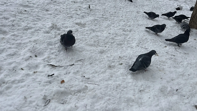 Фото: телеканал «Краснодар»