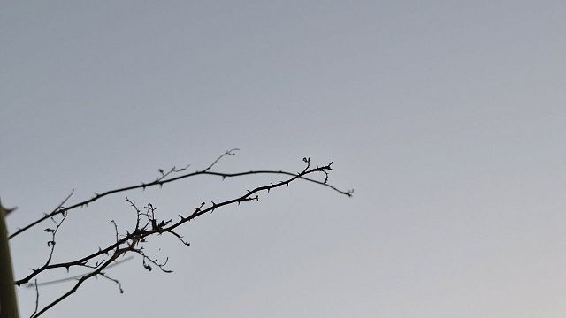 Фото: телеканал «Краснодар»