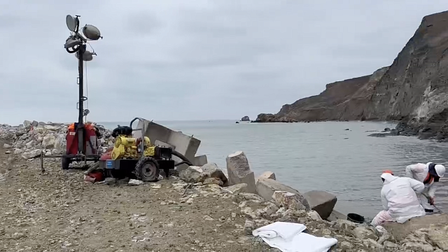 Выбросы мазута на берег обнаружили в районе мыса Панагия на Кубани