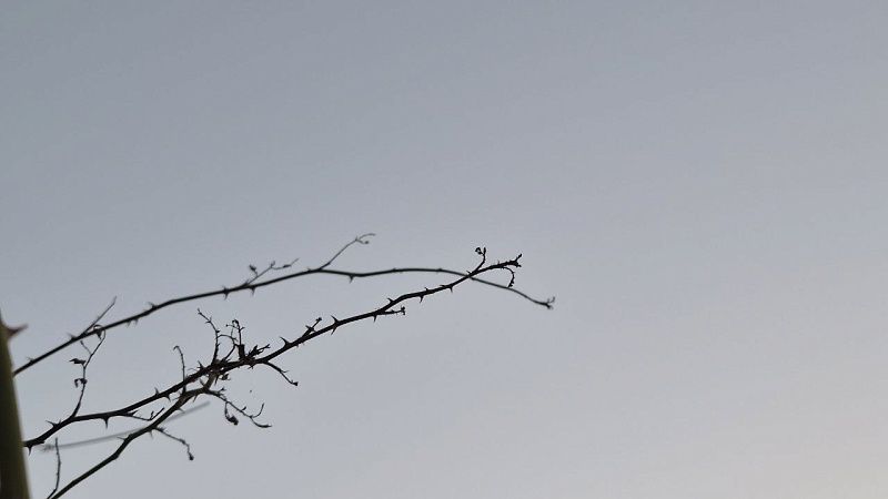 Дважды за полчаса объявляли воздушную тревогу в Тель-Авиве