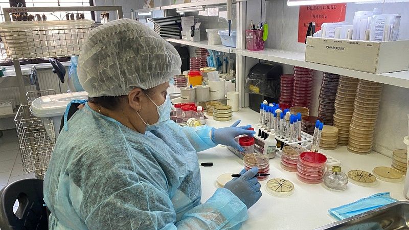 DS: четыре смертельных вируса могут вызвать в 2026 году новую пандемию