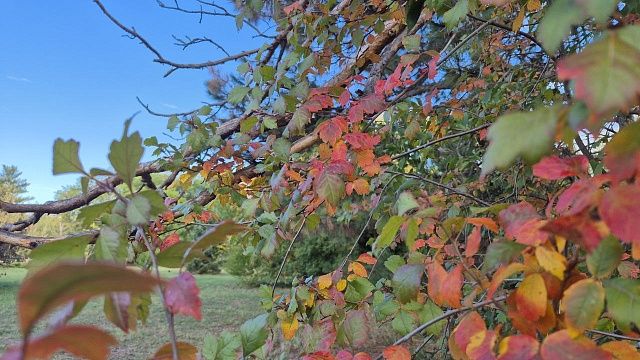 Синоптик Вильфанд: тепло уже не вернется на Кубань