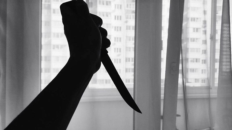 Появились кадры допроса зарезавшего мужчину 16-летнего иностранца в Терновке