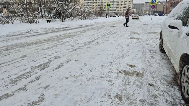 Фото: телеканал «Краснодар»