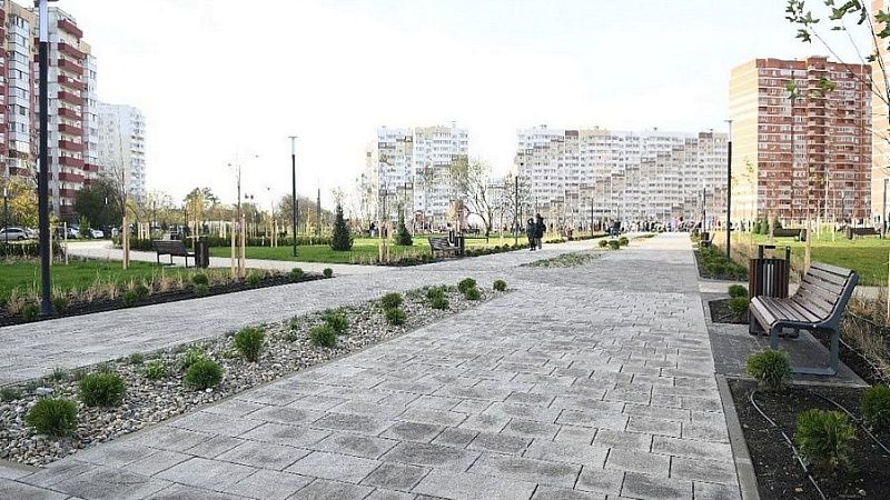 В 2023 году на Кубани обновили почти 150 зелёных зон 