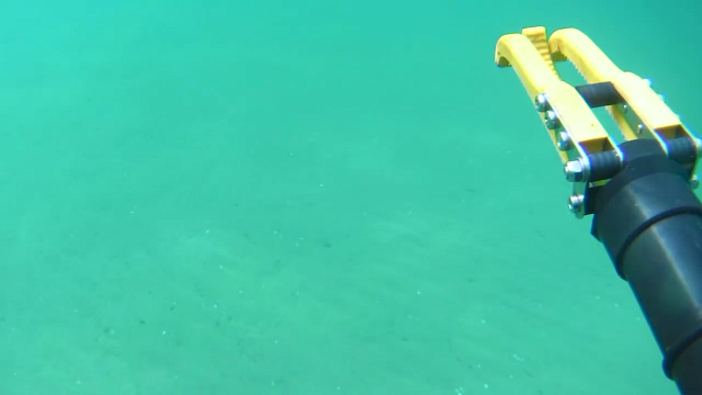 Подводная съемка не выявила пятен мазута на дне Черного моря у реки Можепсин