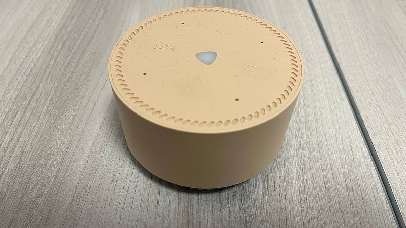 Колонка с голосовым помощником помогла раскрыть измену мужа жительнице Москвы 