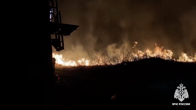 Камыш на площади 3 тысячи «квадратов» загорелся в пригороде Краснодара