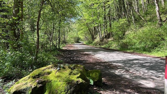 Фото: телеканал «Краснодар»