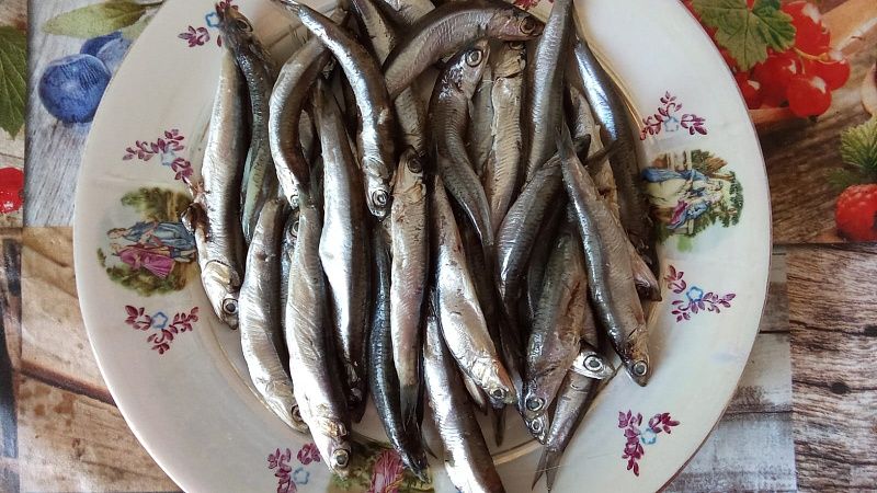 Фестиваль «Хамса Фест» отменили из-за угрозы безопасности в Новороссийске