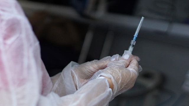 Фото: телеканал «Краснодар»