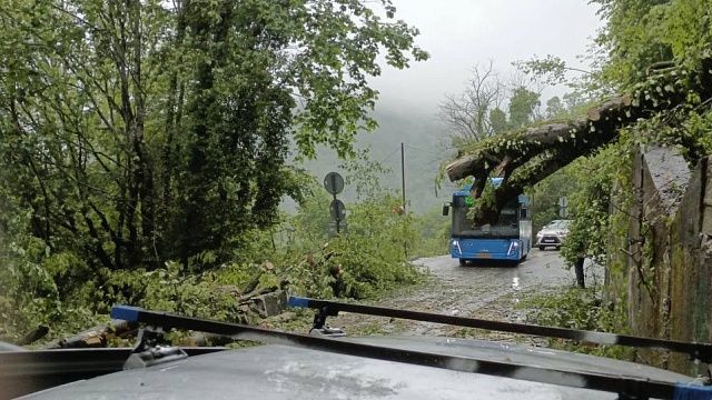 Фото: t.me/spasenie_sochi