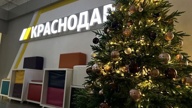 В Краснодарском крае отмечаются Дни новогодней елки. Фото: телеканал «Краснодар»