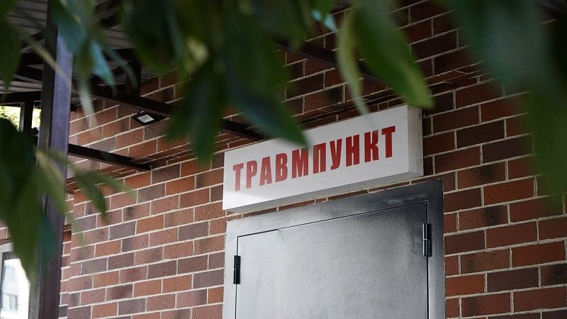 От укусов клещей пострадали 129 человек с начала года в Краснодаре