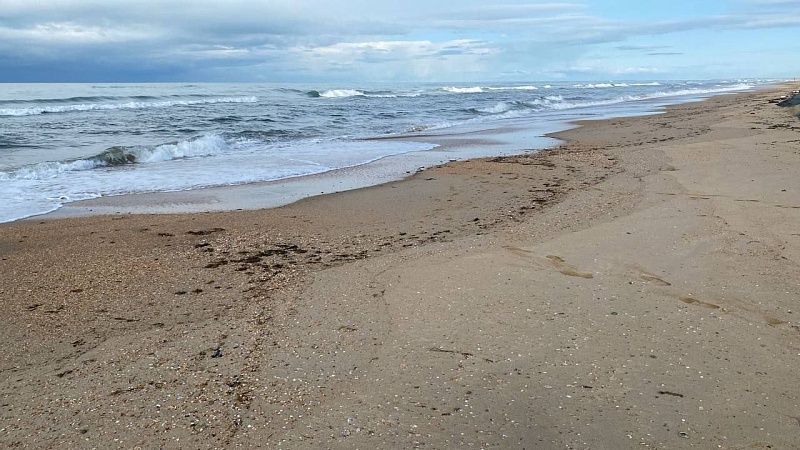 Новые выбросы мазута зафиксировали на двух участках в Анапе 13 апреля 