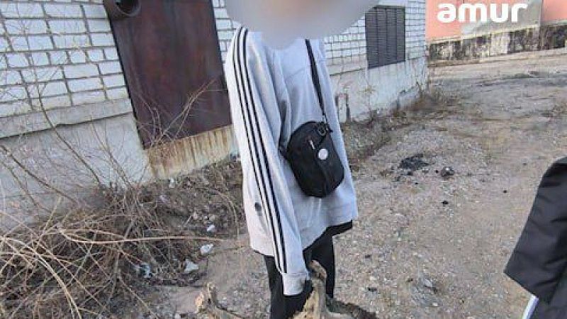 Дети для хайпа возвели алтарь с мертвыми собаками в Благовещенске