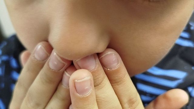 Маламут загрыз чихуа-хуа на глазах пятилетнего мальчика в Свердловской области