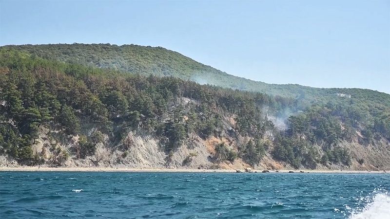 Пожар в Геленджике, новые трамваи в Краснодаре. Новости 29 августа.