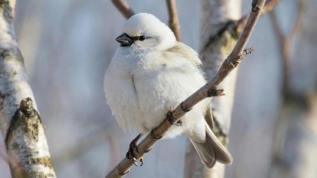 Изображение создано с помощью ИИ