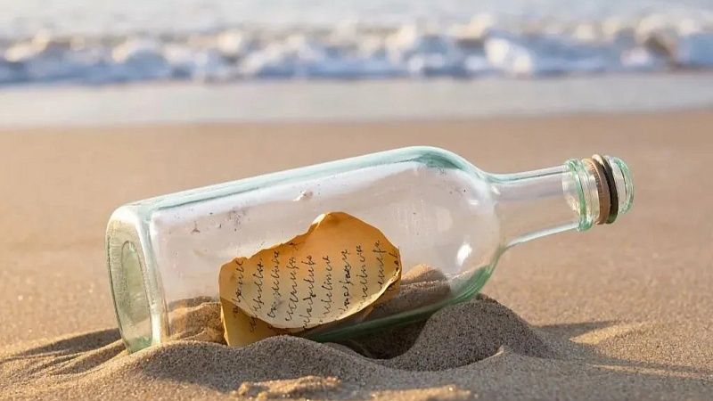 Бутылку с посланием моряков из прошлого века выкинул океан на берег в Канаде