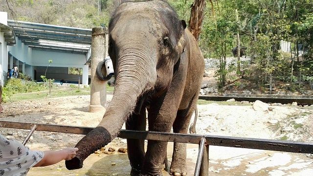 Фото: телеканал «Краснодар»