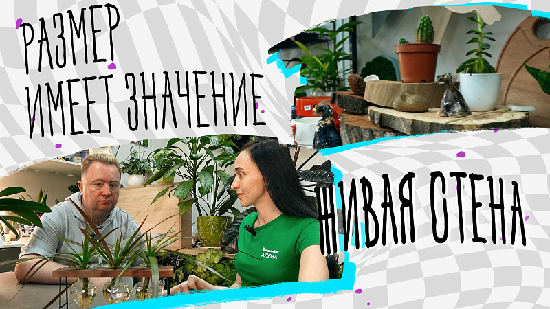 Размер имеет значение – живая стена