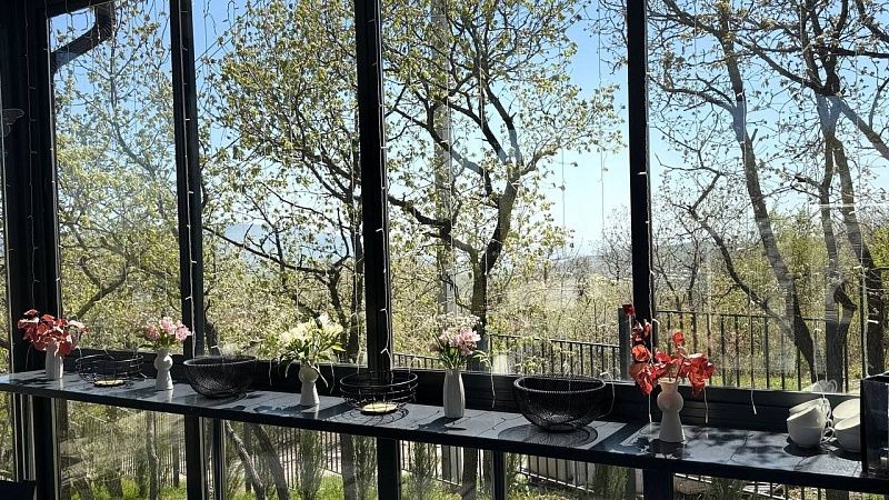 Полиция измерит уровень шума после жалоб жителей улицы Красной в Краснодаре