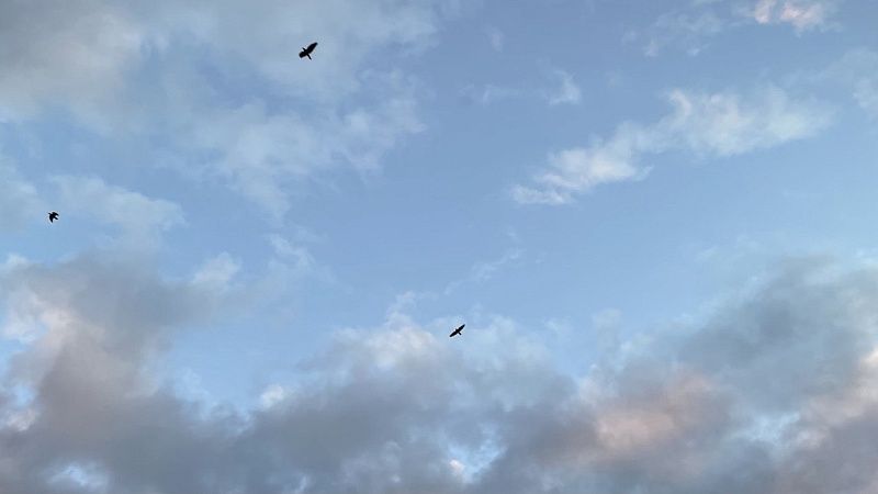 За прошедшую ночь ПВО нейтрализовали в небе 86 украинских БПЛА в небе над Россией