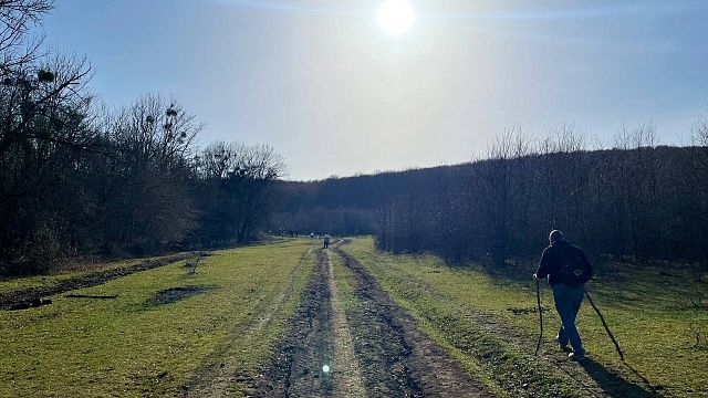 Фото: телеканал «Краснодар»