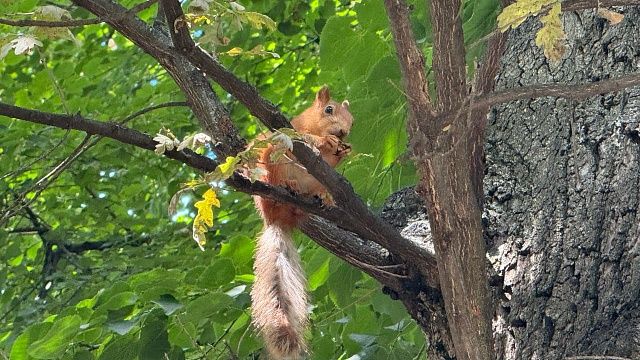 Фото: телеканал «Краснодар»