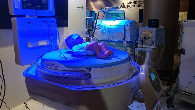 Фото: телеканал «Краснодар»