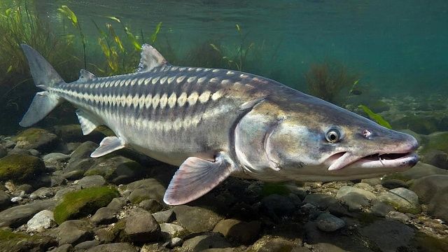 Изображение создано при помощи ИИ