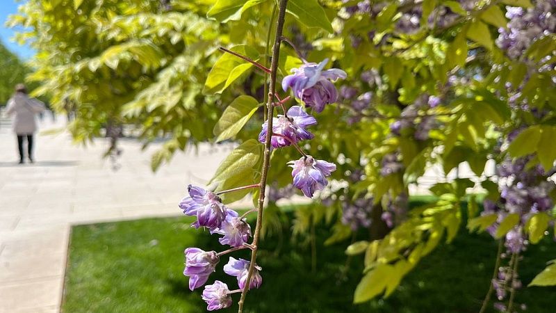 Облачно, ветрено и до +35°С будет 30 августа в Краснодаре