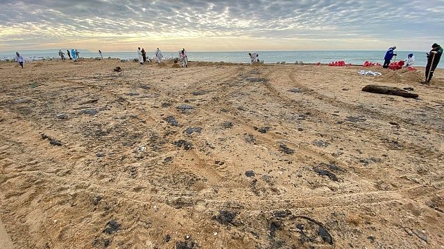 Более 12 тысяч тонн загрязнённого песка вывезли краснодарцы с пляжей Анапы 