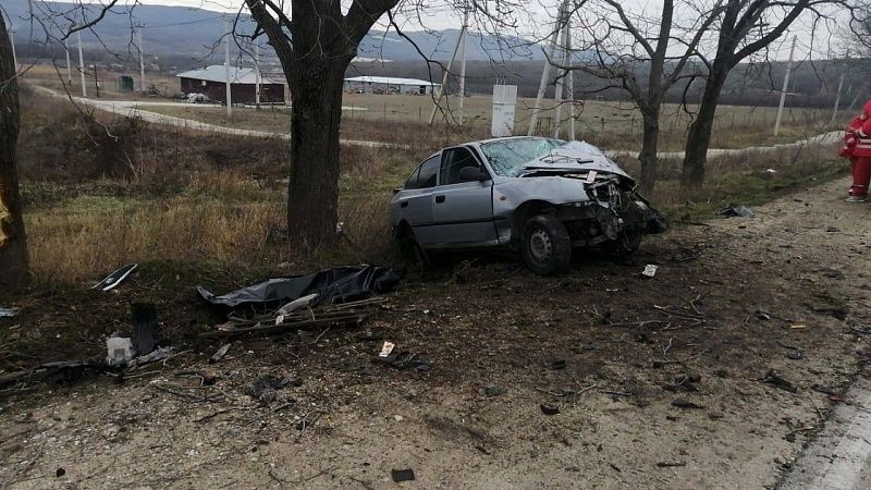 Водитель иномарки насмерть разбился в ДТП с деревом в Новороссийске