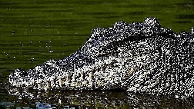 Изображение создано при помощи ИИ.