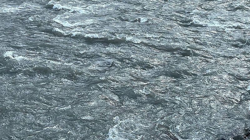 Тело третьего пропавшего ребёнка нашли в Звенигороде