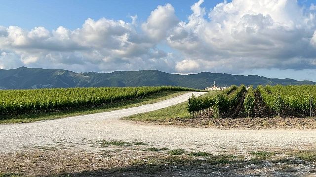 Фото: телеканал «Краснодар»