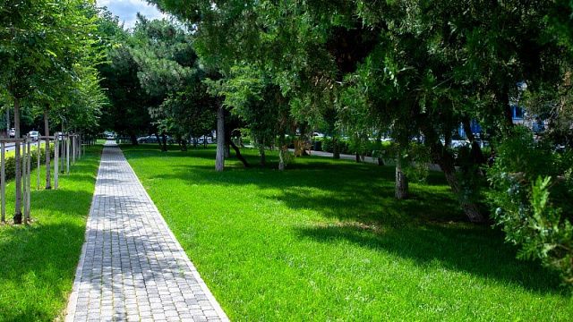 В Краснодаре дополнительно благоустроят зелёные территории. Фото: пресс-служба администрации Краснодара