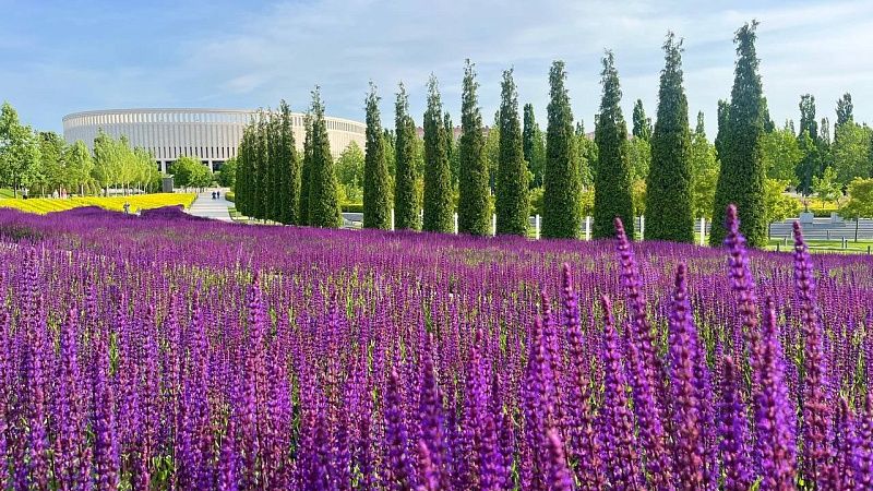 Врач Горячев рассказал, как пережить 30 сентября мощную магнитную бурю на Кубани