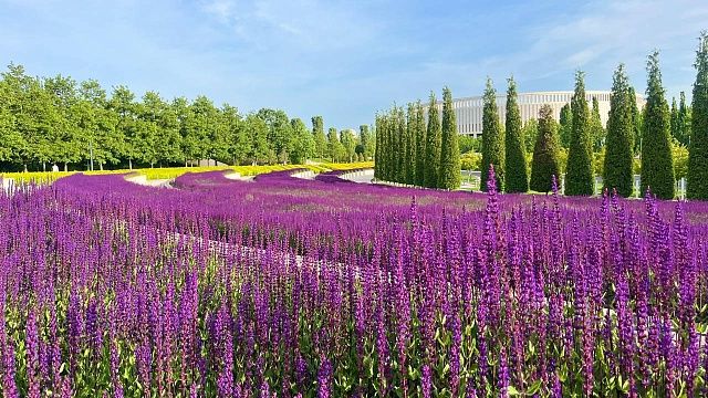 Фото: телеканал «Краснодар»