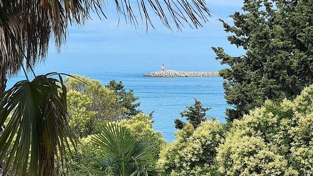 Фото: t.me/officialsochi