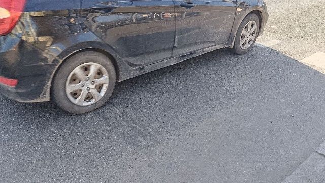 фото: Телеканал Краснодар