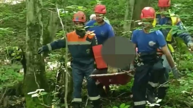 Грибника с открытым переломом вынесли спасатели из леса в Краснодарском крае