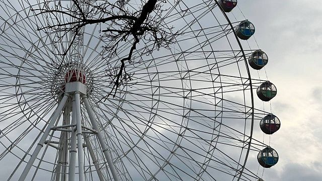 Фото: телеканал «Краснодар» 